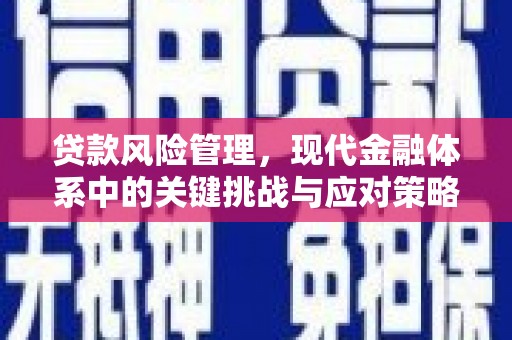 汕尾贷款风险管理，现代金融体系中的关键挑战与应对策略