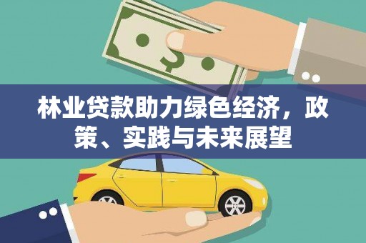 汕尾林业贷款助力绿色经济，政策、实践与未来展望