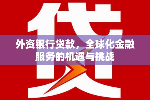 汕尾外资银行贷款，全球化金融服务的机遇与挑战