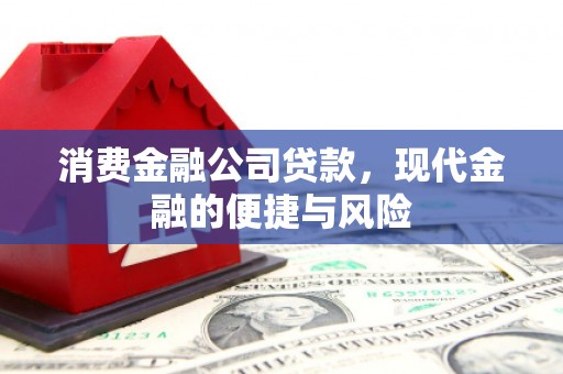 汕尾消费金融公司贷款，现代金融的便捷与风险