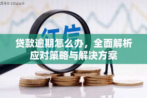 汕尾贷款逾期怎么办，全面解析应对策略与解决方案