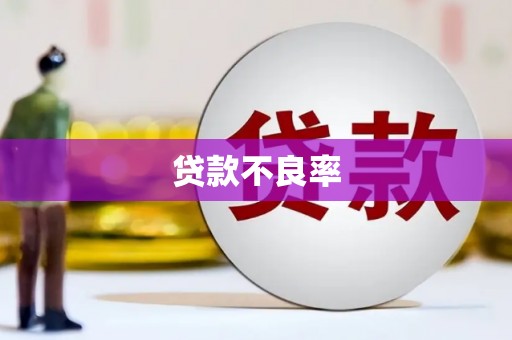 汕尾贷款不良率