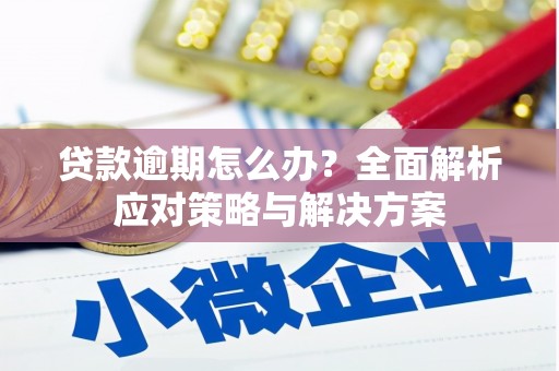 汕尾贷款逾期怎么办？全面解析应对策略与解决方案