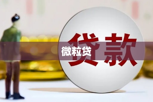 汕尾微粒贷