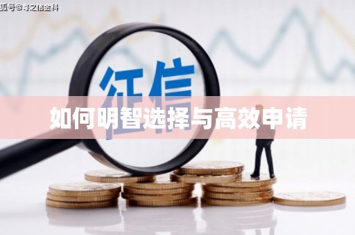 汕尾如何明智选择与高效申请