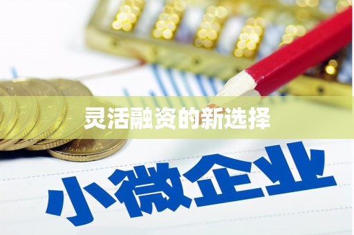 汕尾灵活融资的新选择