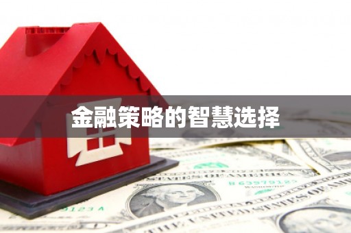 汕尾金融策略的智慧选择