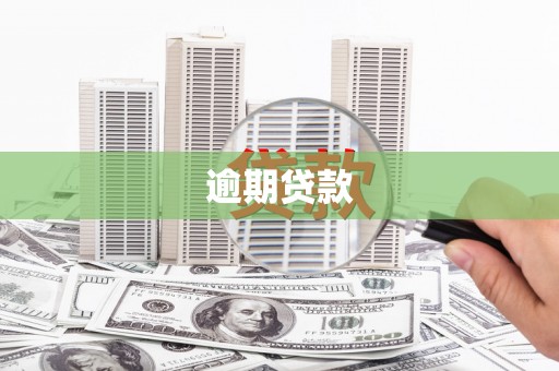 汕尾逾期贷款
