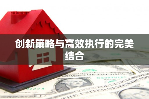 汕尾创新策略与高效执行的完美结合