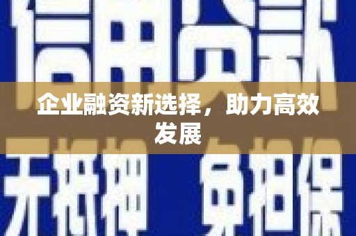 汕尾企业融资新选择，助力高效发展