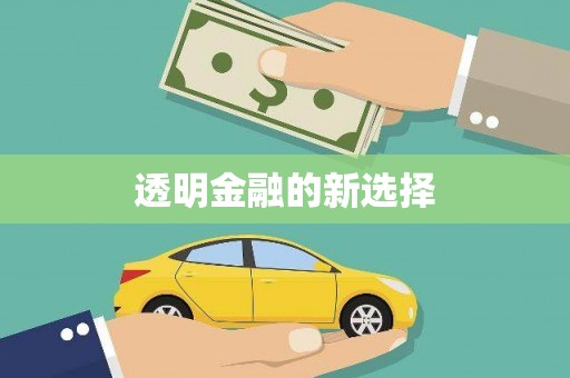 汕尾透明金融的新选择