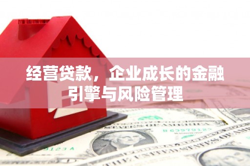 汕尾经营贷款，企业成长的金融引擎与风险管理