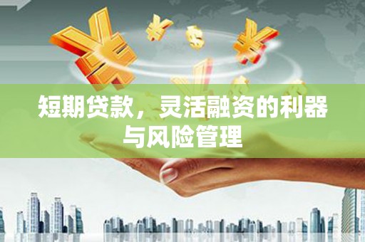 汕尾短期贷款，灵活融资的利器与风险管理