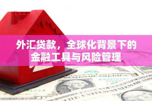 汕尾外汇贷款，全球化背景下的金融工具与风险管理