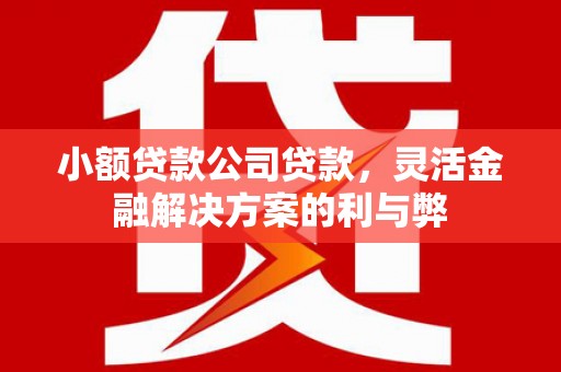 汕尾小额贷款公司贷款，灵活金融解决方案的利与弊